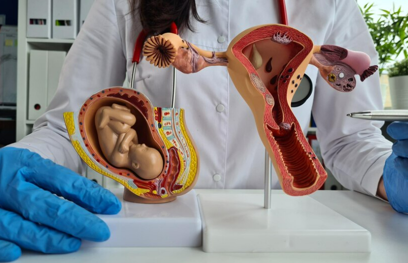 Barza: monitorizează pierderile de lichid amniotic