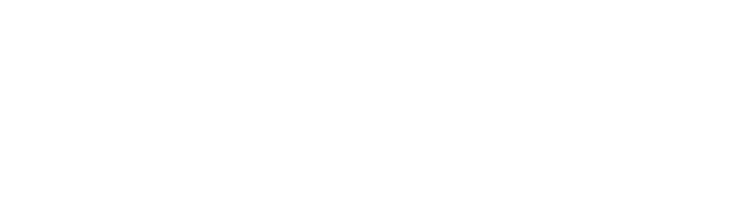 logo-Barza-alb